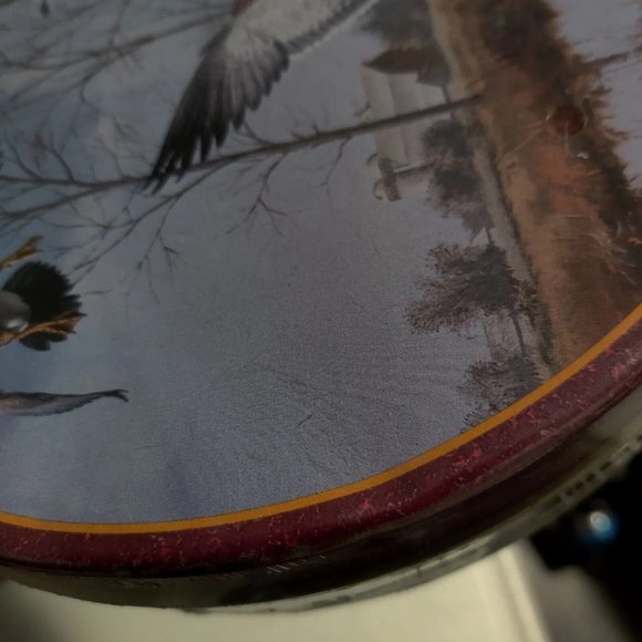 Vtg Dave Maass Duck 9.75" Round Tin Lake City Minnesota Wild Wings Artwork Rare - Picture 5 of 16